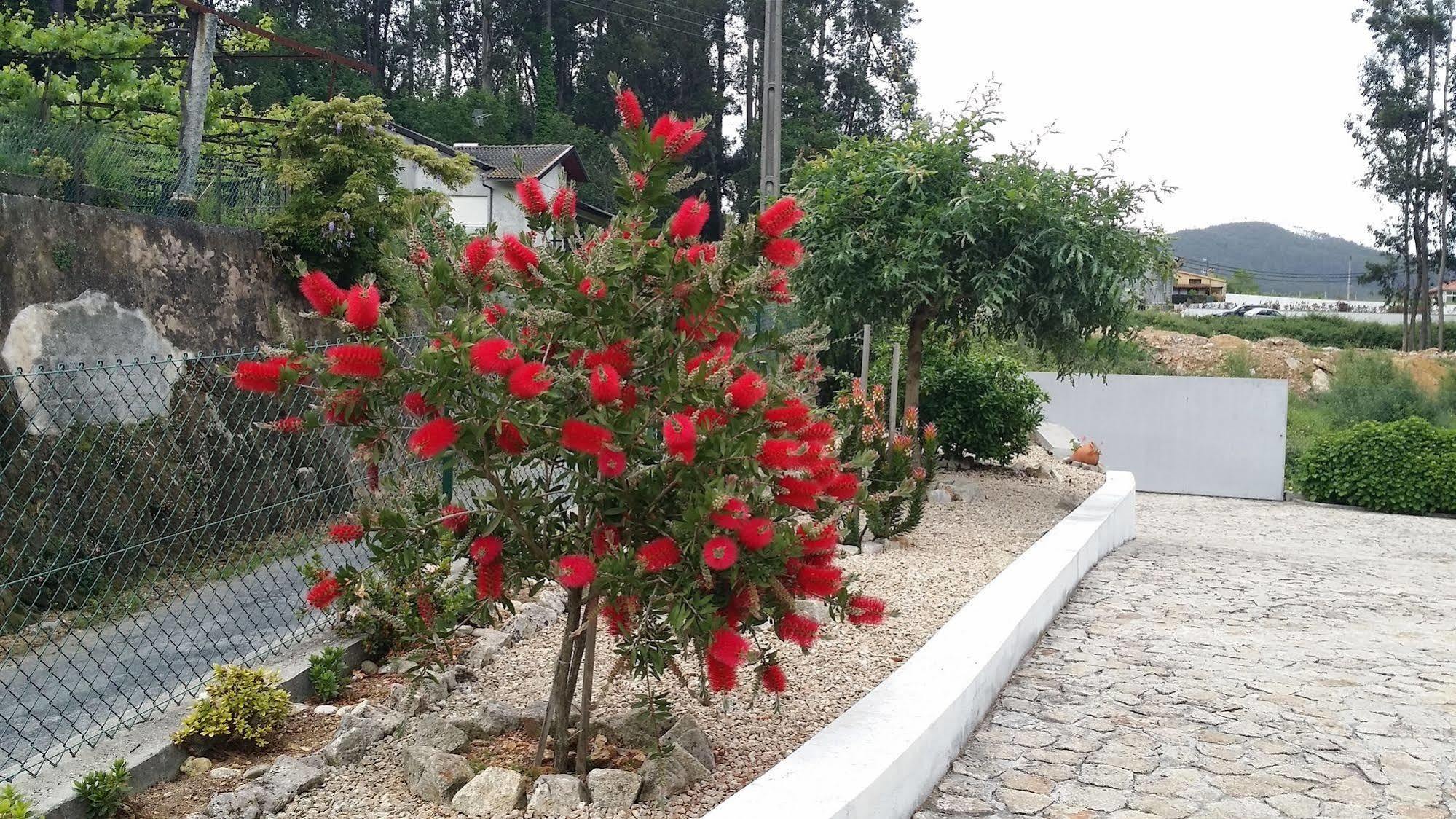 Willa Casa Do Porto Carreiro Oliveira de Azeméis Zewnętrze zdjęcie