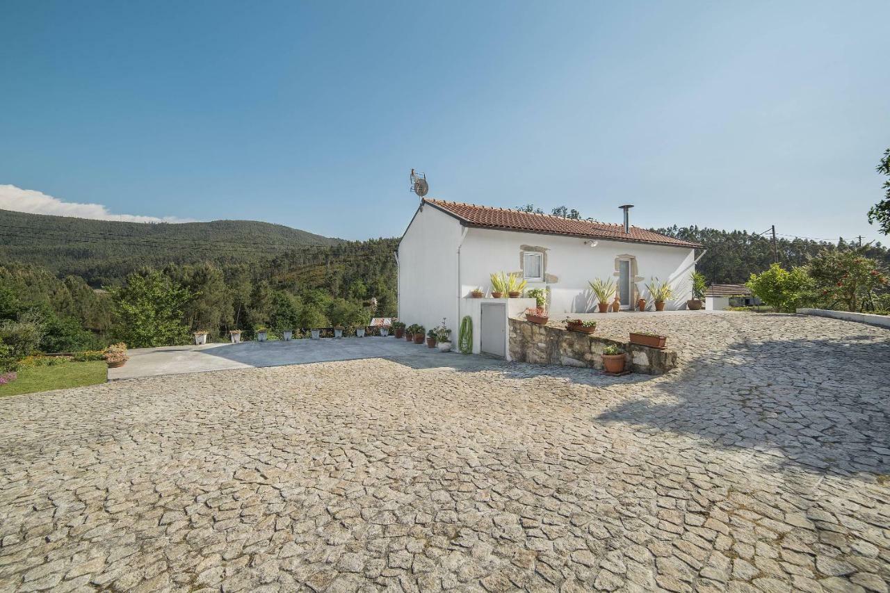 Willa Casa Do Porto Carreiro Oliveira de Azeméis Zewnętrze zdjęcie
