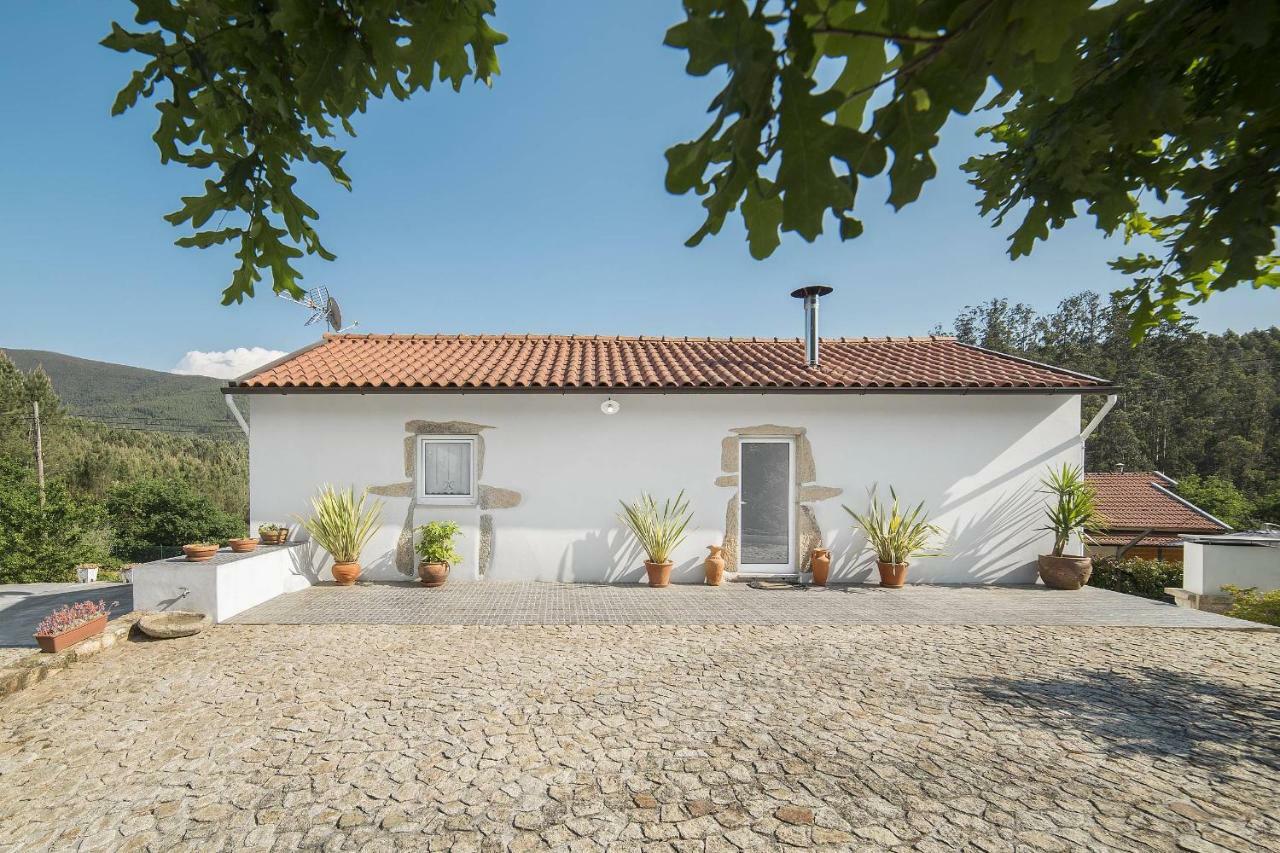Willa Casa Do Porto Carreiro Oliveira de Azeméis Zewnętrze zdjęcie