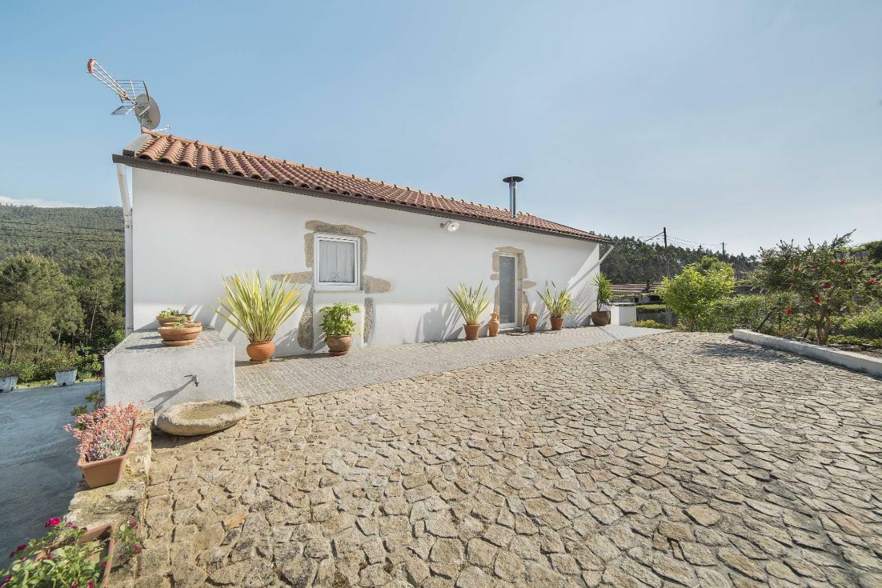 Willa Casa Do Porto Carreiro Oliveira de Azeméis Zewnętrze zdjęcie